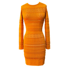 Chloe Long Sleeve Mini Dress